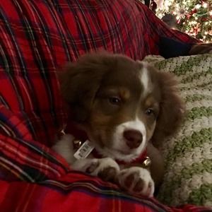 Meet your Posher, Barbara